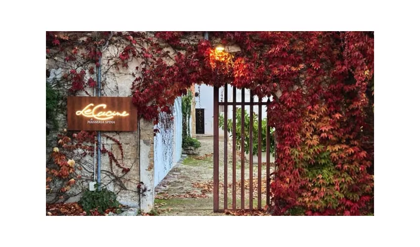 Le Cucine di Masseria Spina