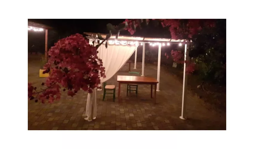 Boutique della carne