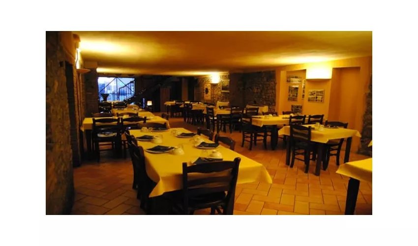 Bosco Gerolo Valtrebbia