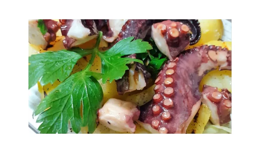 CucineNOS