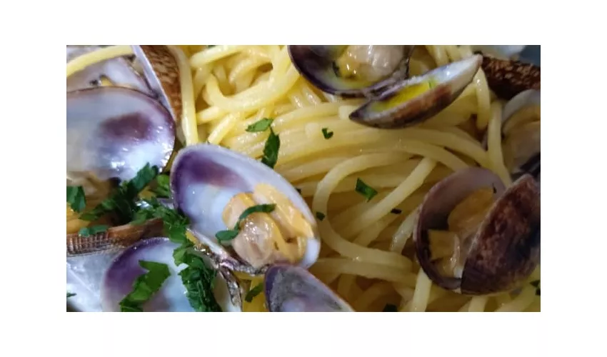 CucineNOS
