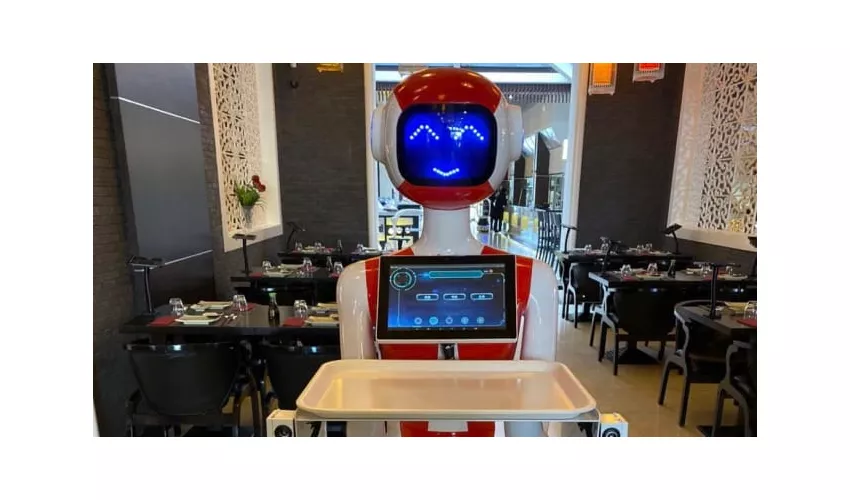 Cyber Fujiyama