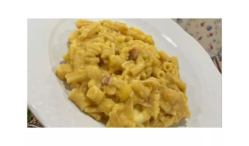 Zito 41