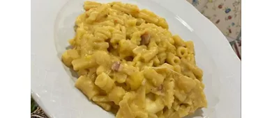 Zito 41