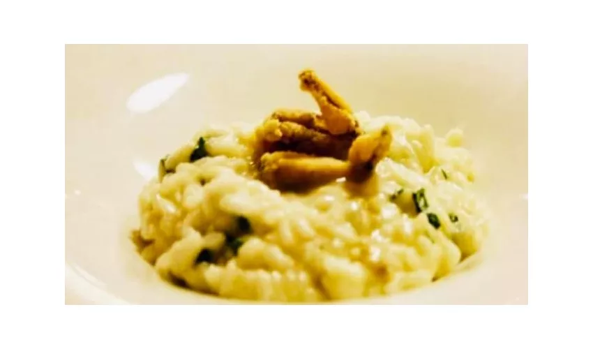 Antica Trattoria Dell'angelo Piacenza