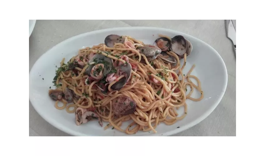 Mediterranea