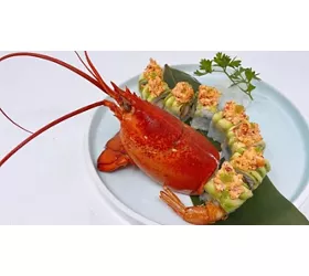 Hashi