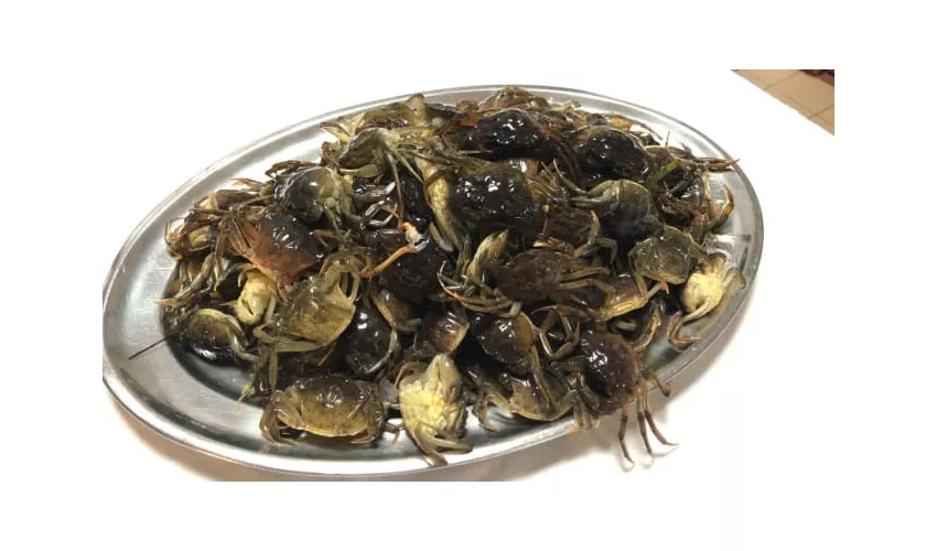 Osteria Del Pesce e non solo