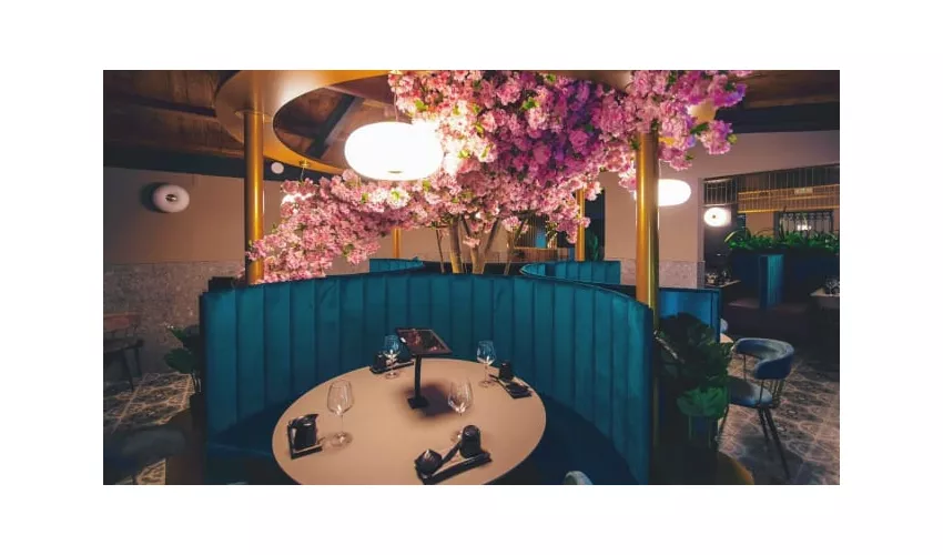 Goki Sushi Bufalotta