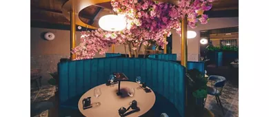 Goki Sushi Bufalotta