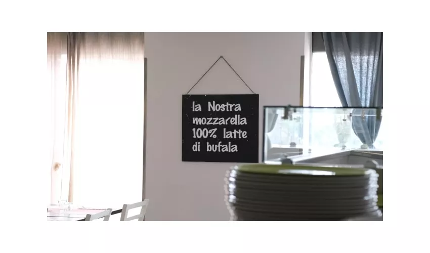 italo trattoria pizzeria