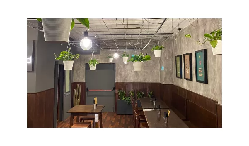 WIFO kitchen & bar