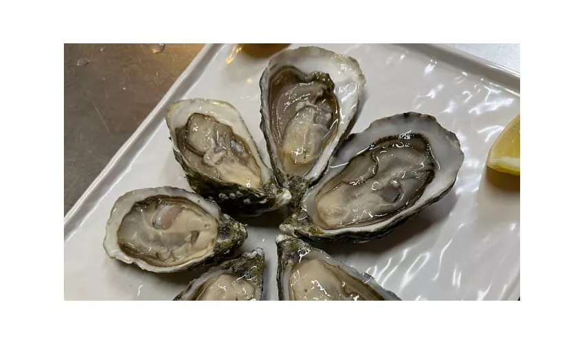 Stabilimento Balneare SolMar