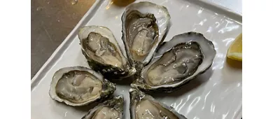 Stabilimento Balneare SolMar