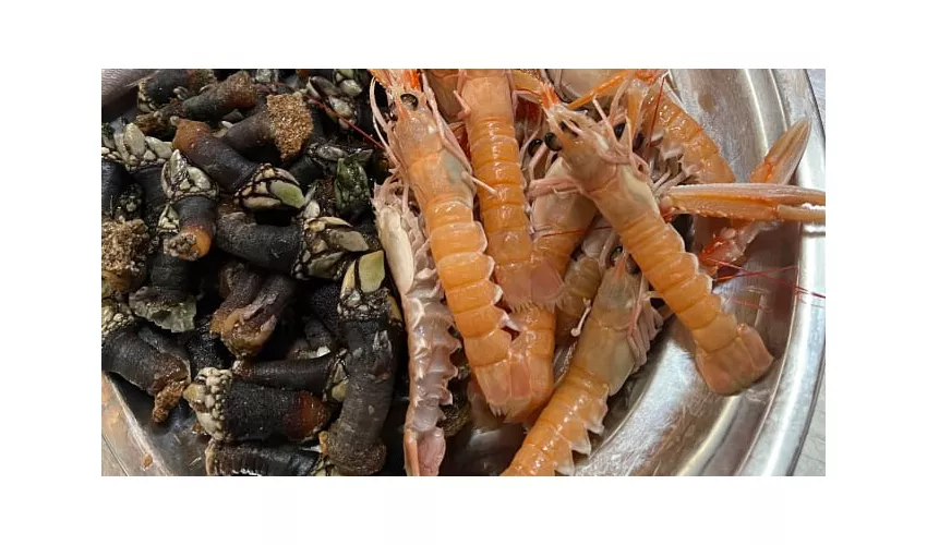 Stabilimento Balneare SolMar