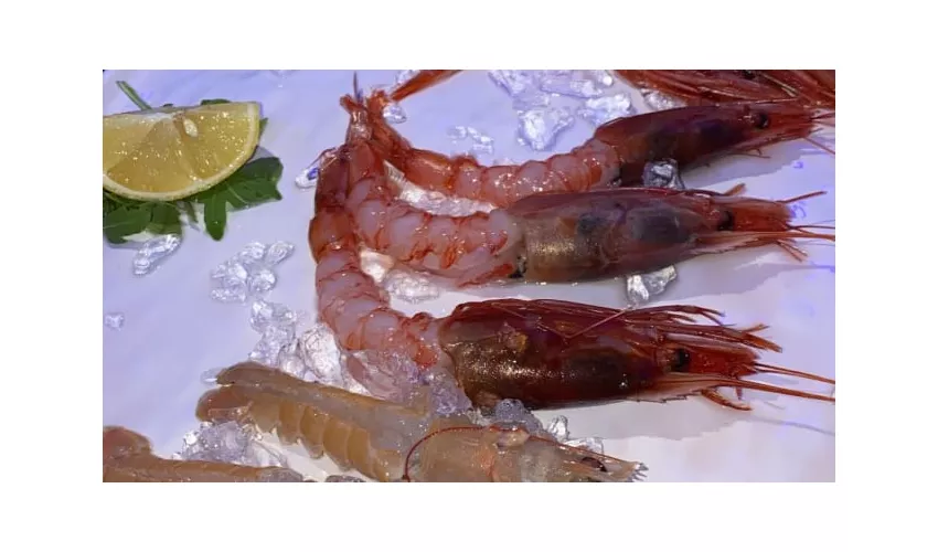 Stabilimento Balneare SolMar