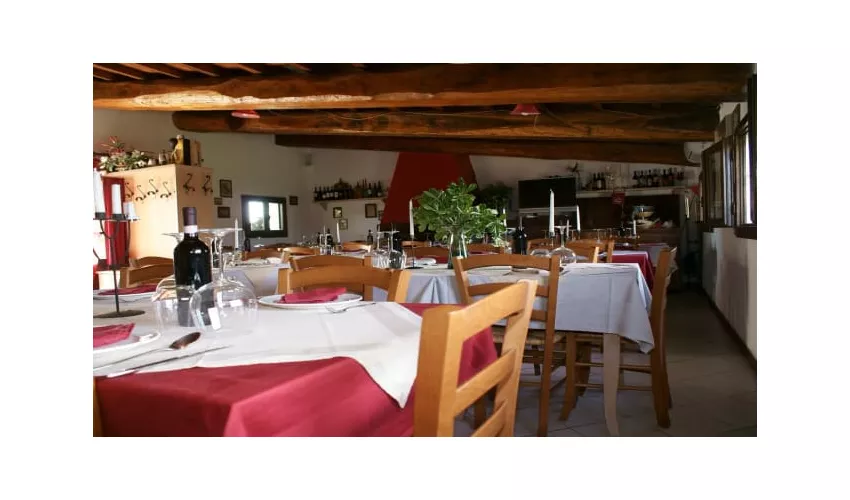 Agriturismo La Gioia