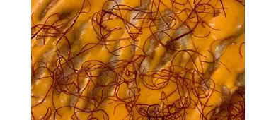 Alto Pizza Factory - Pioltello