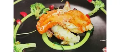 N26 Gourmet
