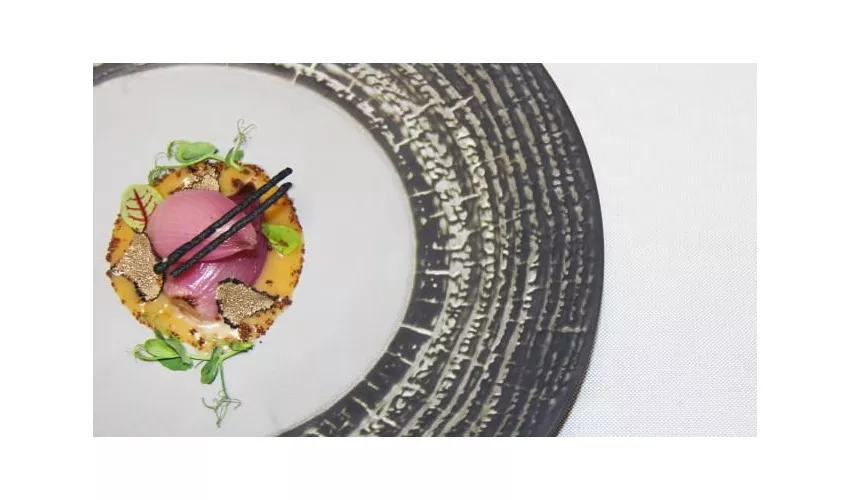 N26 Gourmet
