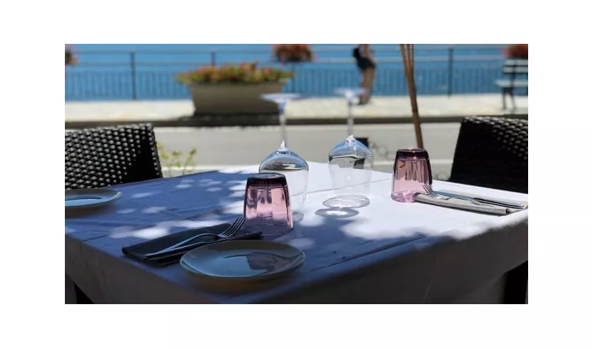 N26 Gourmet