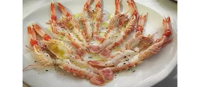 I Savoia