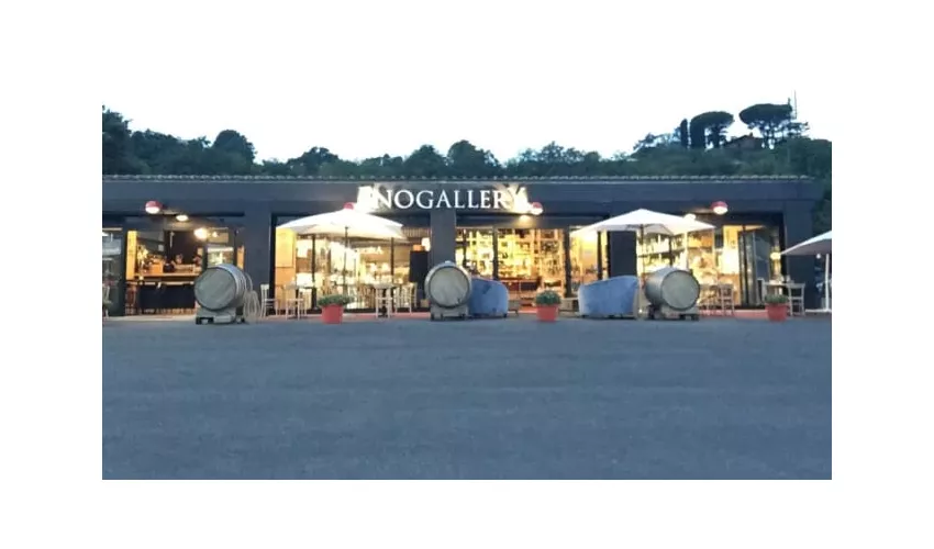 "ENOGALLERY THE WINE PLACE" ENOTECA & DISTRIBUZIONE, WINE BAR & RESTAURANT