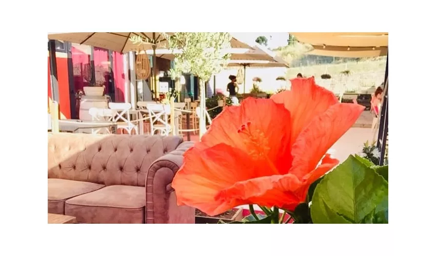 "ENOGALLERY THE WINE PLACE" ENOTECA & DISTRIBUZIONE, WINE BAR & RESTAURANT