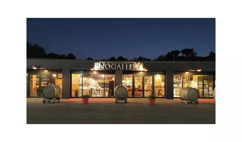 "ENOGALLERY THE WINE PLACE" ENOTECA & DISTRIBUZIONE, WINE BAR & RESTAURANT