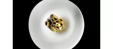 Stefano Mocellin al Padovanino