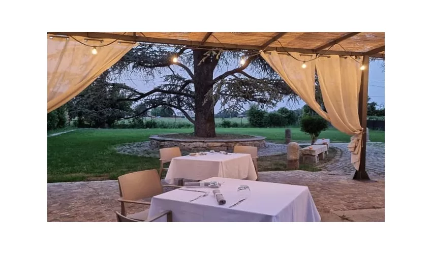 Ristorante L' Amo Piacenza