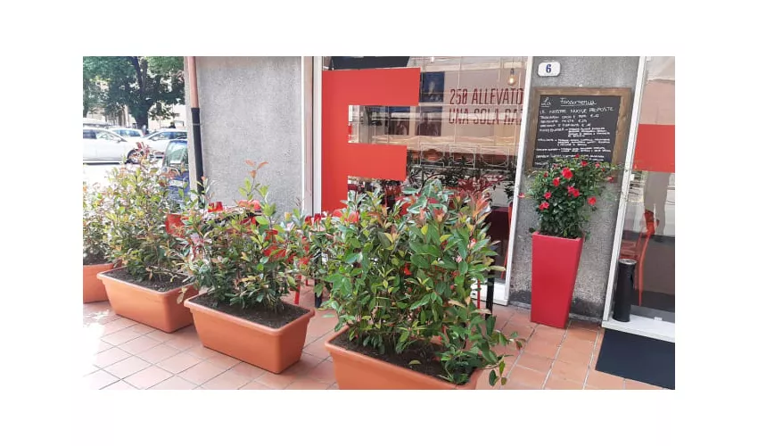 Fassoneria Recco