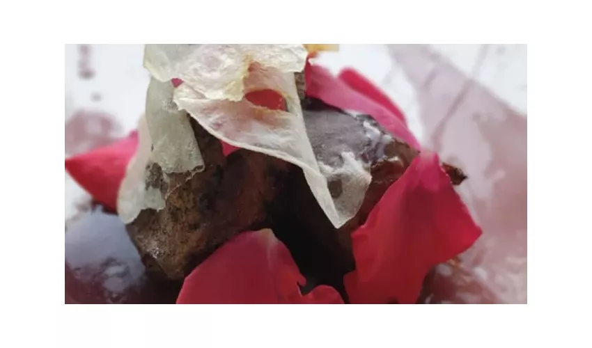 Chicco di Caffè