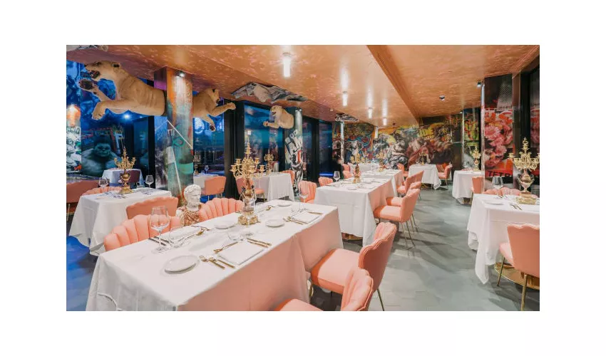 Collini Cafe