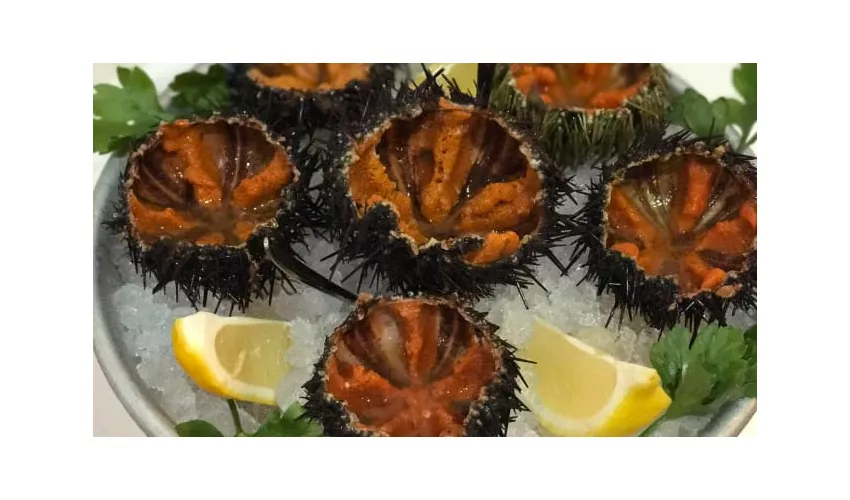 Fish Art Restaurant
