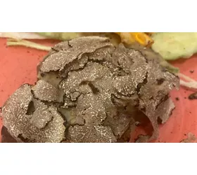 Antica Macelleria Nutini