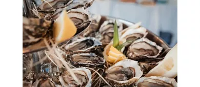 Il Garroccio Beach | Ristorante - Lounge Bar