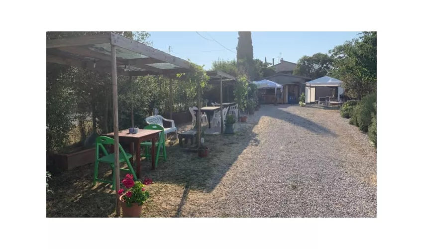 Az. Agr. Poggio San Piero
