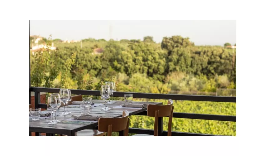 Azienda Agricola Le Rose