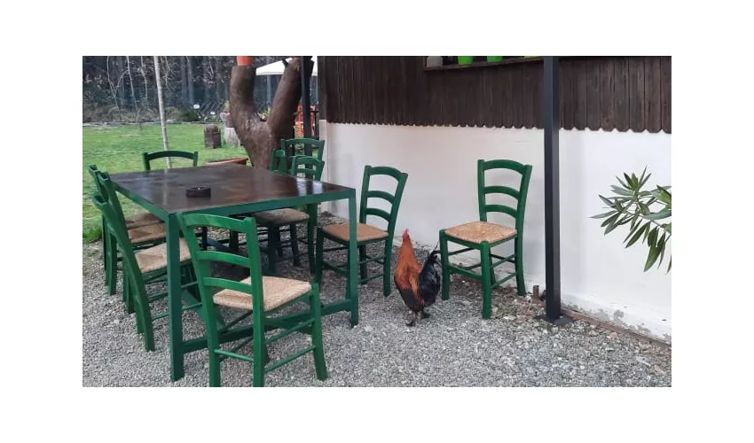 Cascina Kepos - Ristoro in Pinetina