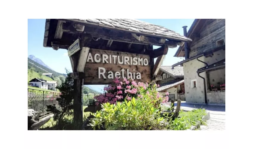 Raethia