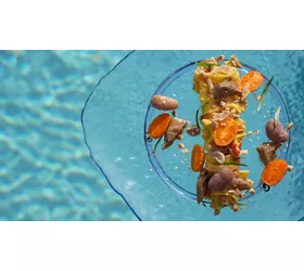 Vivaldi Restaurant
