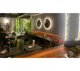 The Jungle Cocktail & Tapas