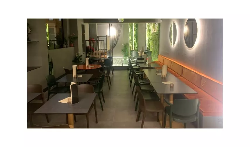 The Jungle Cocktail & Tapas