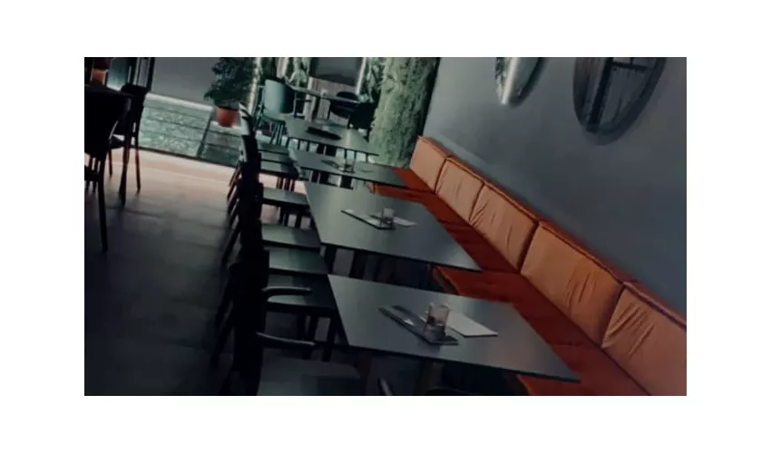 The Jungle Cocktail & Tapas