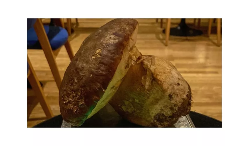 Granoturco Bistrot