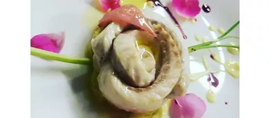 la balena bianca