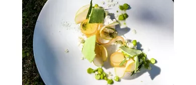 Ristorante Il Piastrino