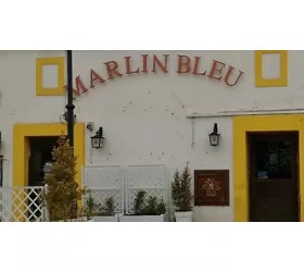 Marlin Bleu