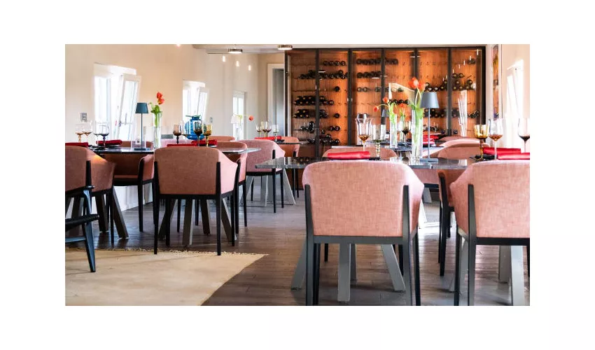 52C - Japan Fusion Experience